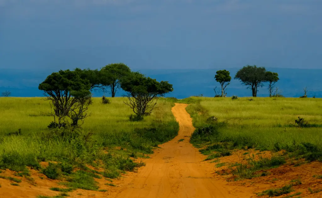 africa travel essentials